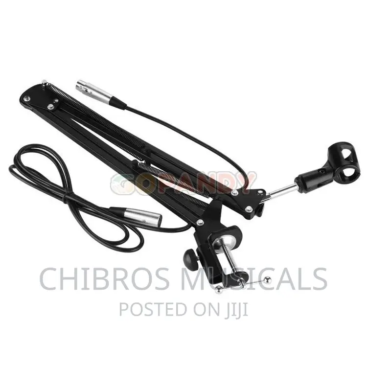 Studio Extensible Table Microphone Arm