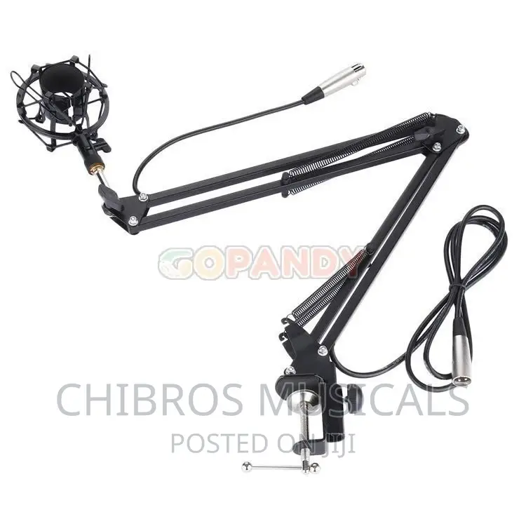 Studio Extensible Table Microphone Arm