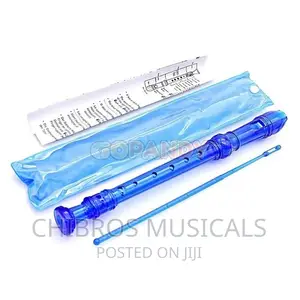 Premier Flute Recorder With Chart Ivory,Red,Blue Etc