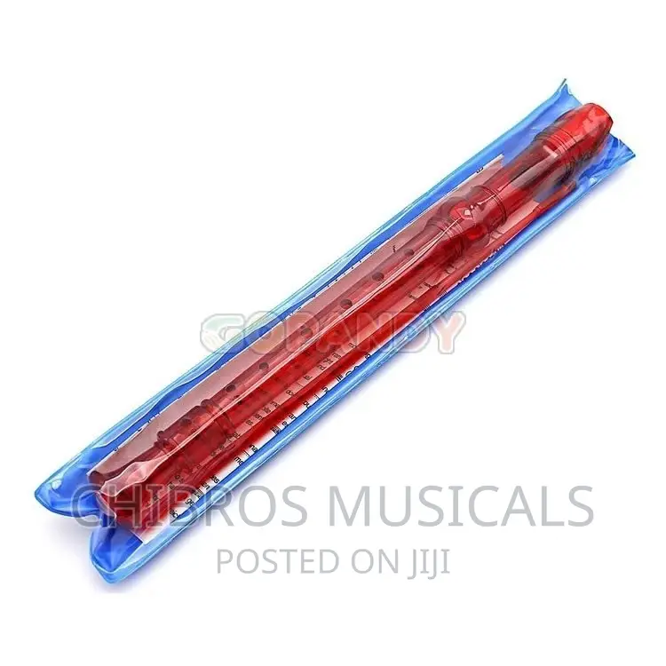 Premier Flute Recorder With Chart Ivory,Red,Blue Etc