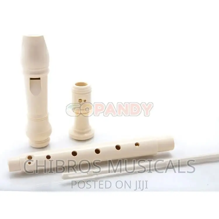 Premier Flute Recorder With Chart Ivory,Red,Blue Etc