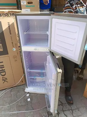Original Snowsea Standing Refrigerator With 2years Warranty