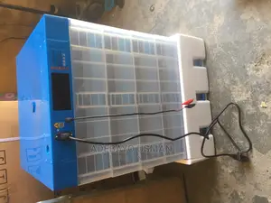 Egg Incubator