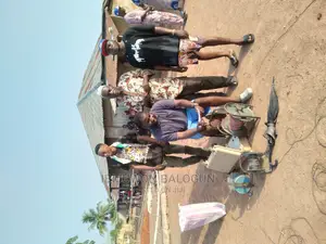 Borehole Drilling