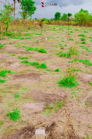 Land at Mgbakwu