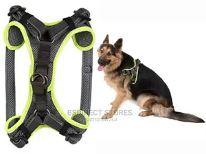 3 Peaks Grey LARGE Lightweight Step- In Reflective Harness