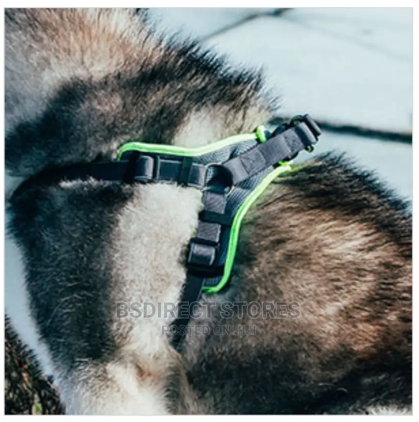 3 Peaks Grey LARGE Lightweight Step- In Reflective Harness