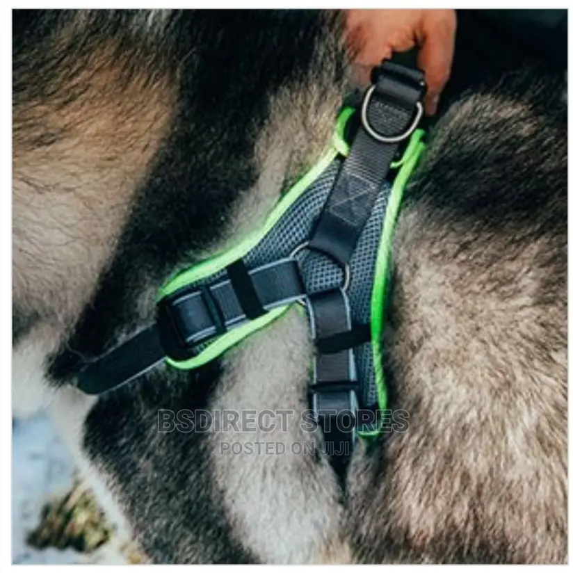 3 Peaks Grey LARGE Lightweight Step- In Reflective Harness