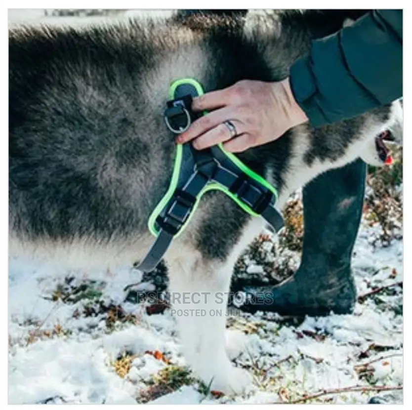 3 Peaks Grey LARGE Lightweight Step- In Reflective Harness