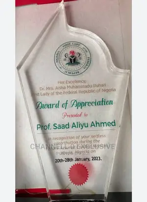 Crystal Award