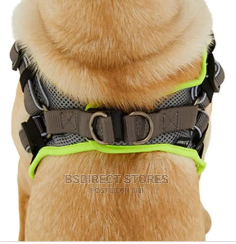 3 Peaks Grey LARGE Lightweight Step- In Reflective Harness