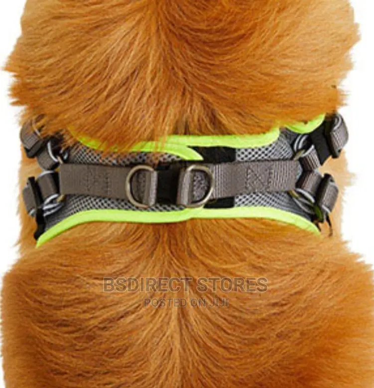 3 Peaks Grey LARGE Lightweight Step- In Reflective Harness
