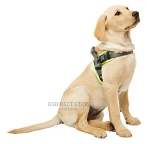 3 Peaks SMALL GREY Lightweight Step- In Reflective Harness