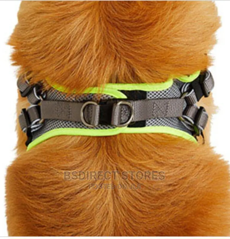 3 Peaks SMALL GREY Lightweight Step- In Reflective Harness