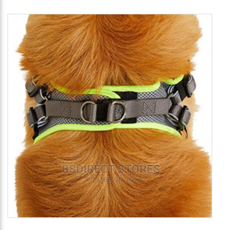 3 Peaks SMALL GREY Lightweight Step- In Reflective Harness