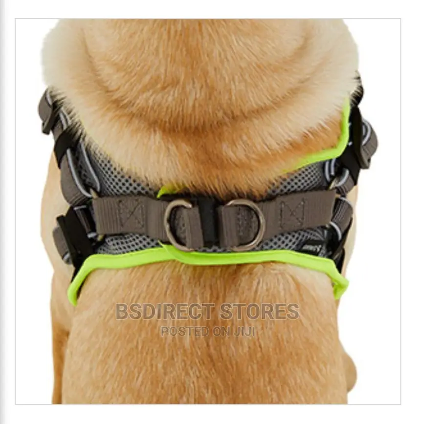 3 Peaks SMALL GREY Lightweight Step- In Reflective Harness