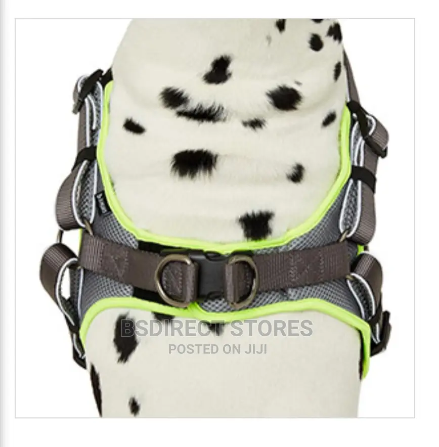 3 Peaks SMALL GREY Lightweight Step- In Reflective Harness