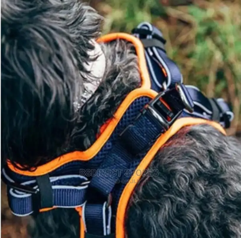3 Peaks ORANGE LARGE Lightweight Step- In Reflective Harness