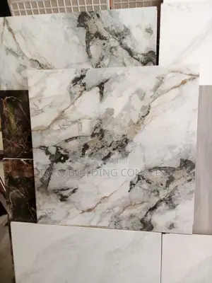 60/60 Floor Tile