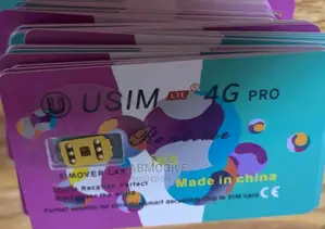iPhone Unlock Chip