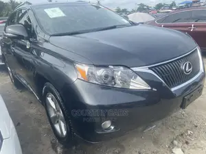 Lexus RX 350 2010 Gray