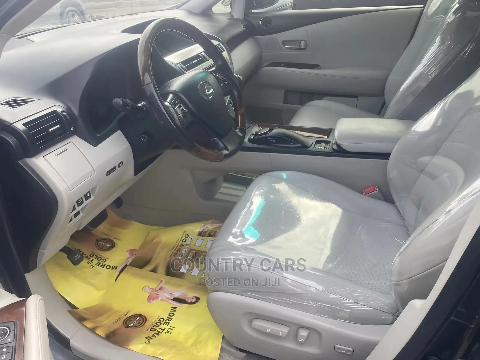 Lexus RX 350 2010 Gray