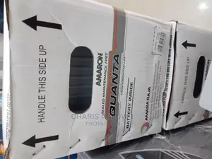 100ah Quanta Drycell Battery