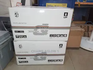 100ah Quanta Drycell Battery