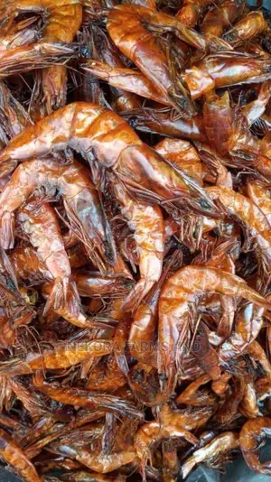 Dried Nembe Prawn (Oporo)