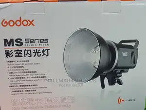 Godox Ms300