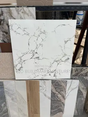 60 X 60 Polished Floor Tiles