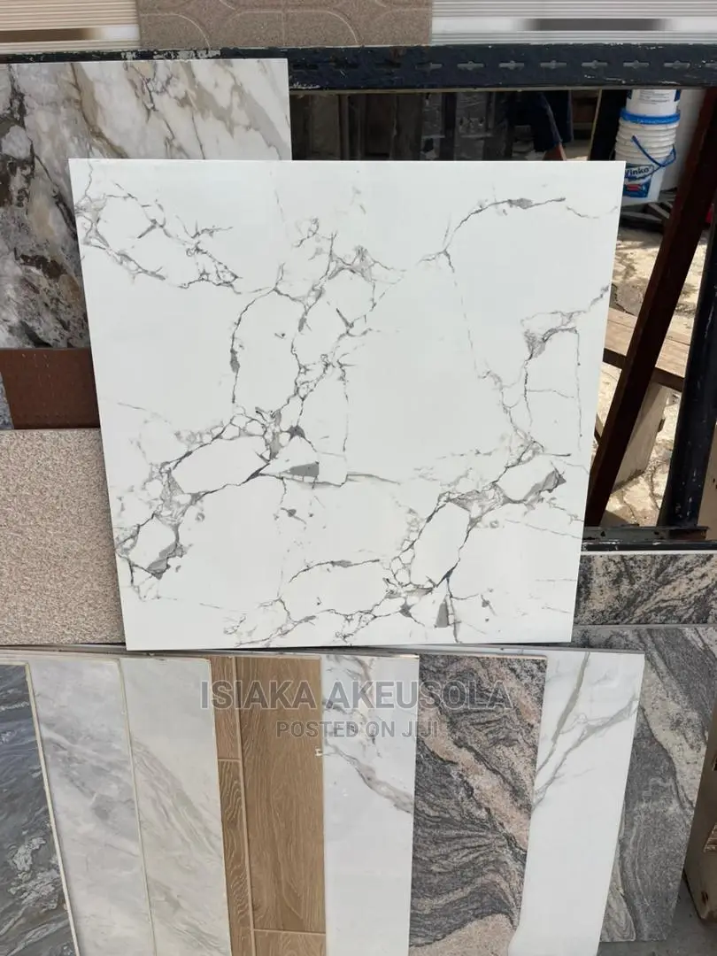 60 X 60 Polished Floor Tiles