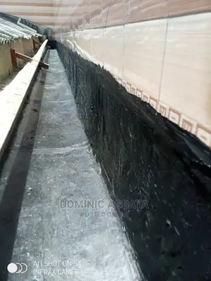 Leakage Ejector Expert