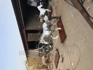 Sculpture Horse