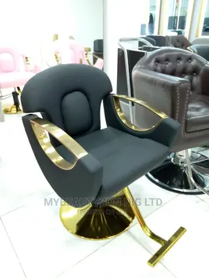 Unisex Gold Base Salon Chair