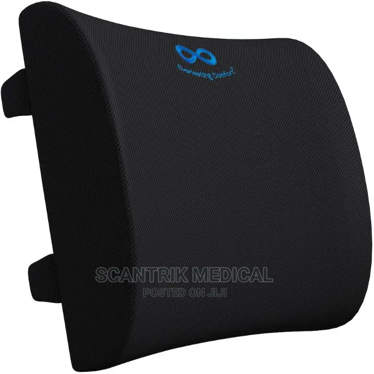 Lumbar Support Back Cushion Pillow