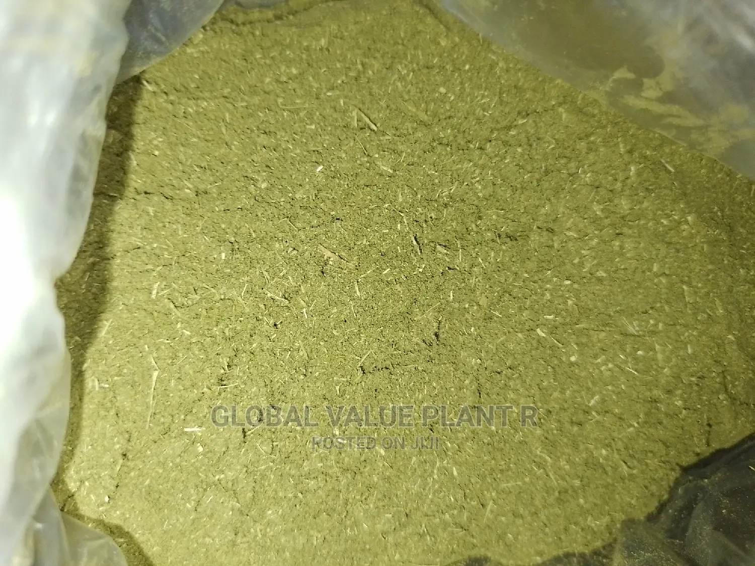 Moringa Powder, Per Kg