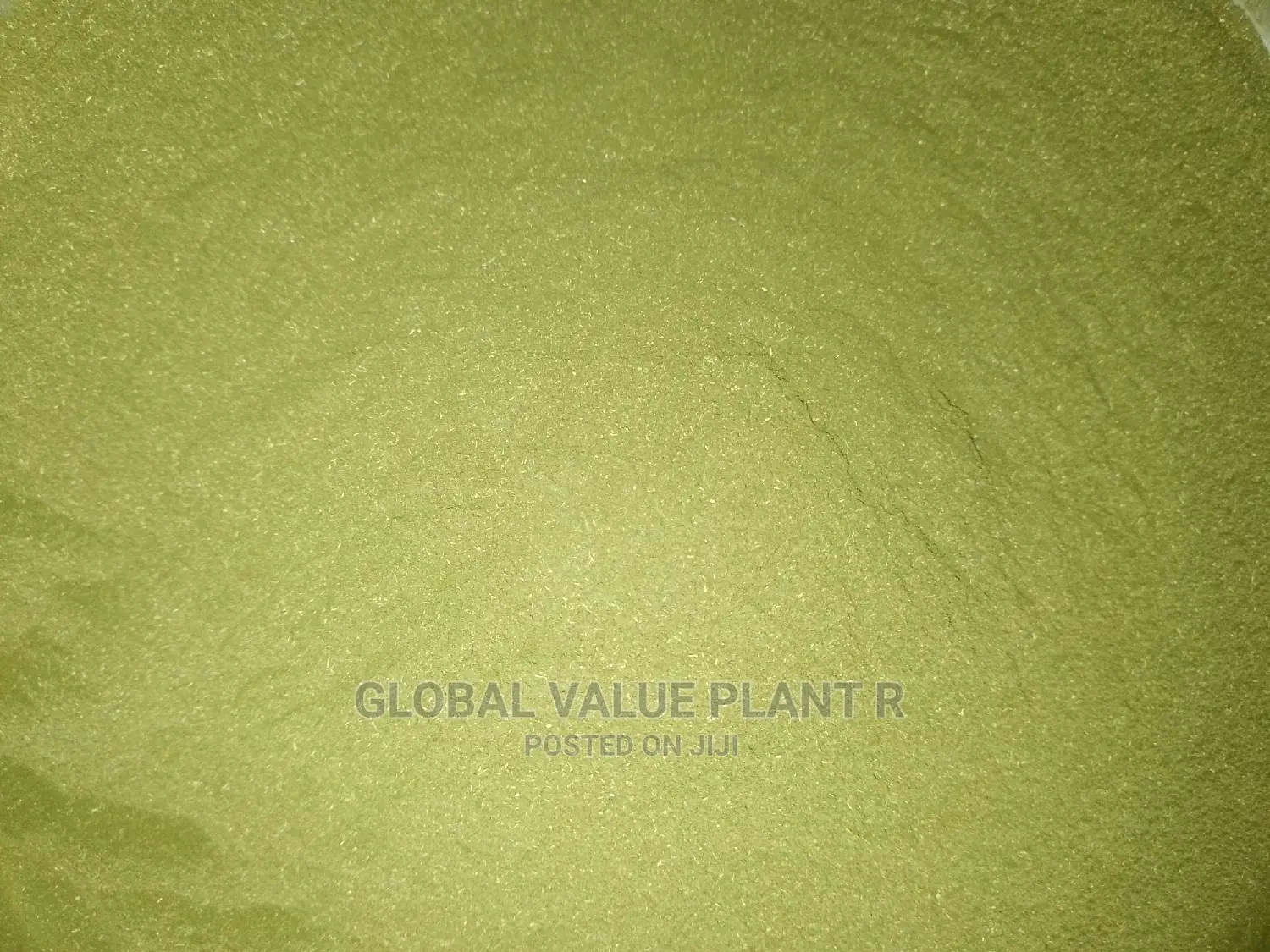 Moringa Powder, Per Kg