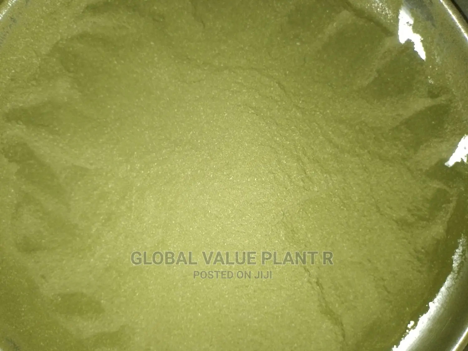 Moringa Powder, Per Kg