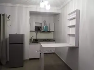 Executive 1 Bedroom Flat