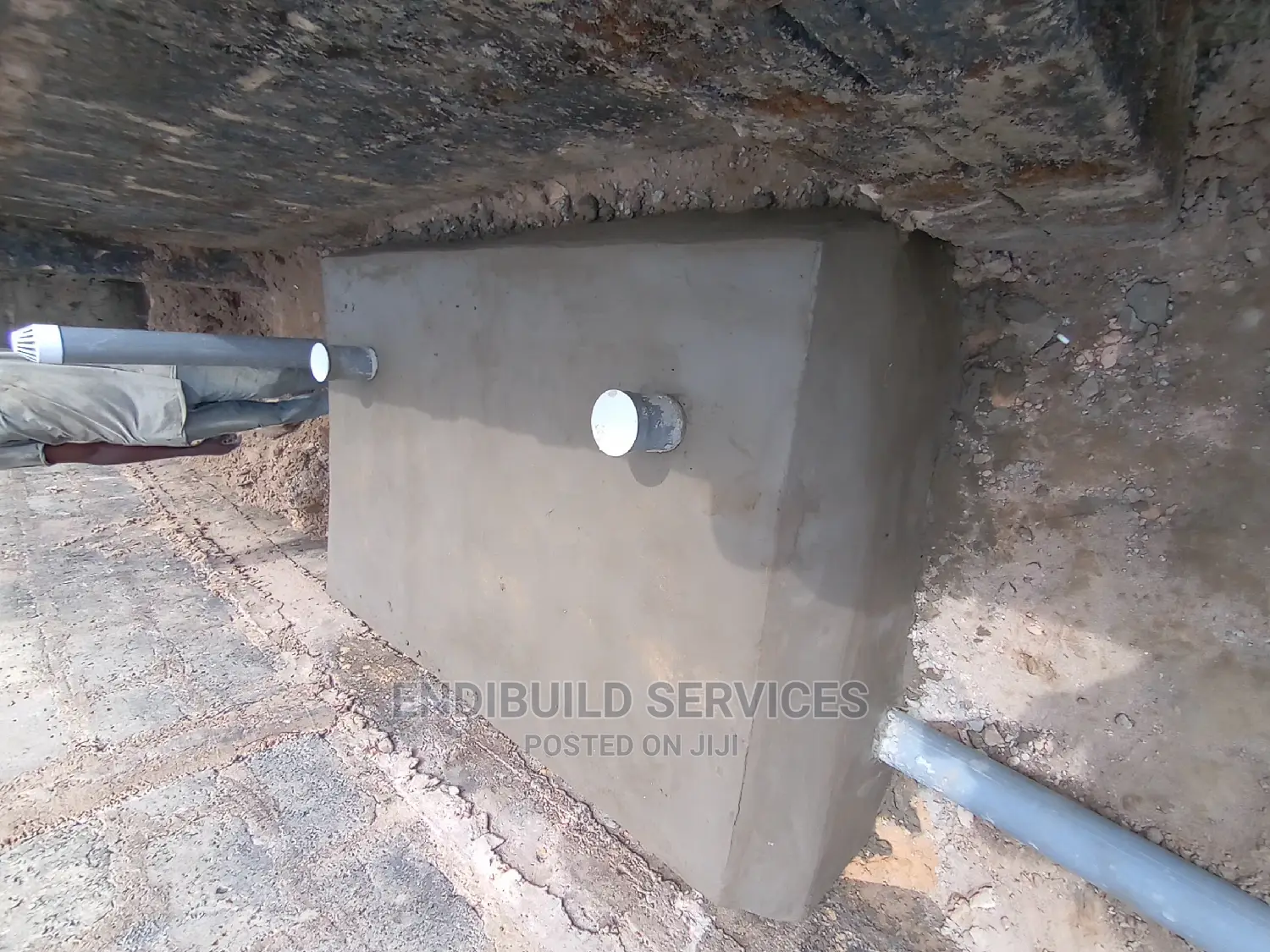 Biodigester System