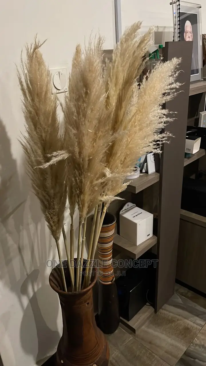 Dried Preserved Pampas Grass(One)