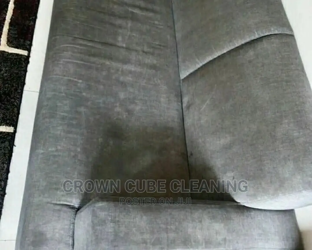 Couch Cleaning Service