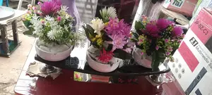 Cup Flower for Sale