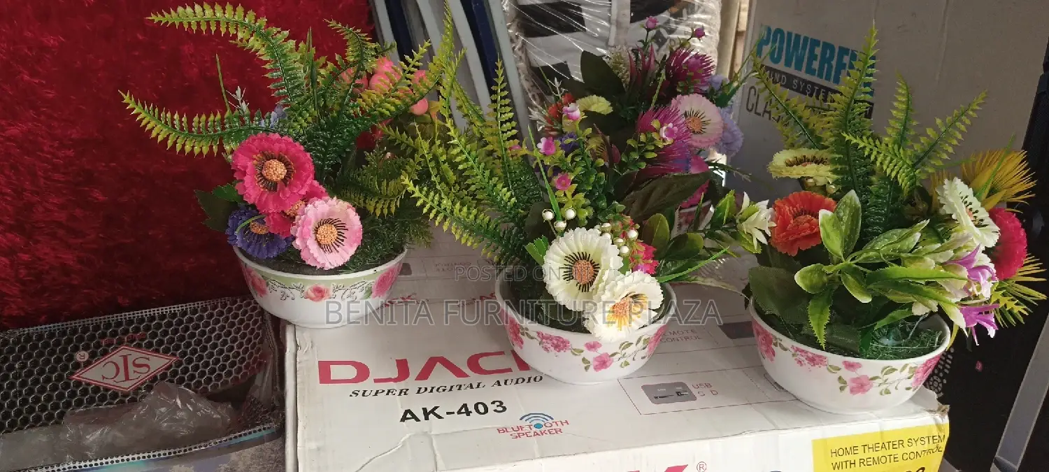 Cup Flower for Sale