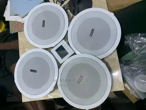20w Set Ceiling Speaker Wall Amplifier