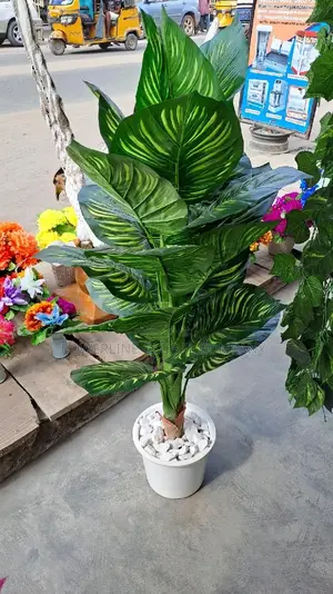 Flower Pot for Home's/ Hotels/ Lounges/ Guesthouses