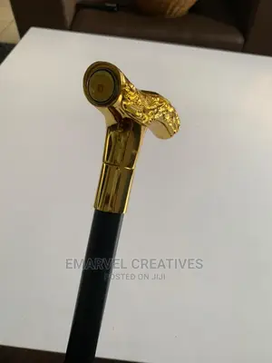 Fashion Walking Stick