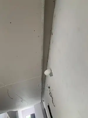 Drywall Ceiling With Screeding