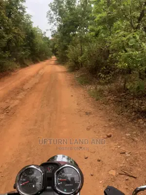 80 Acres of Land for Sale in a Save Area and Cheaper